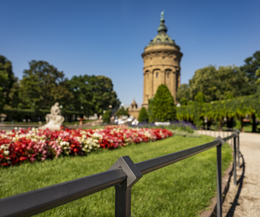 Baumschnitt, Baumpflege, Garten, Gärtner, Galabau, Landschaftsbau, Mannheim, Heidelberg, Pflasterarbeiten, Vorgarten, automatische Beregnungsanlage,  Bewässerungstechnik, Gartenbewässerungssystem, Rollrasen,  Tröpfchenbewässerung. Baumpflanzung